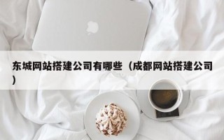 阿里东城网站搭建公司有哪些（成都网站搭建公司）